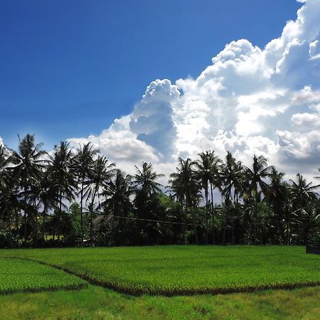 Pondok Ayu Soca Ubud Exterior foto